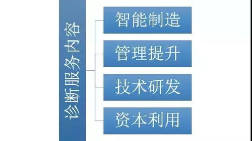 我市啟動倍增企業全方位全流程診斷服務，助力網絡技術研發及技術服務企業高質量發展