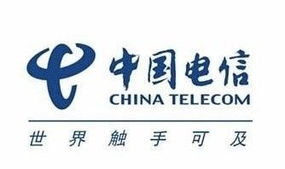 中國(guó)電信新一輪機(jī)構(gòu)改革 地級(jí)市公司邁向銷售服務(wù)新定位